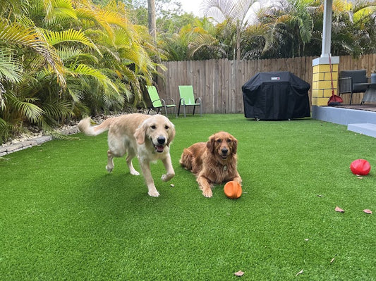 How to Choose the Best Types Of Artificial Turf for Backyard in