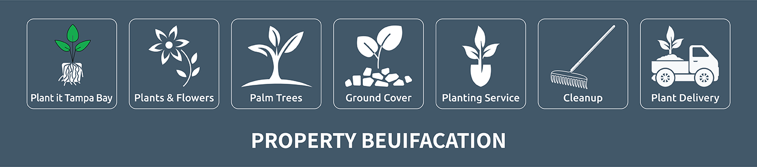 Plant It Tampa Bay - Plant Nursery, Trees, palms, Landscaping, rocks, mulch, sod, yard cleanup, landscaping design, tree trimming & sprinkler repair. Tampa, FL