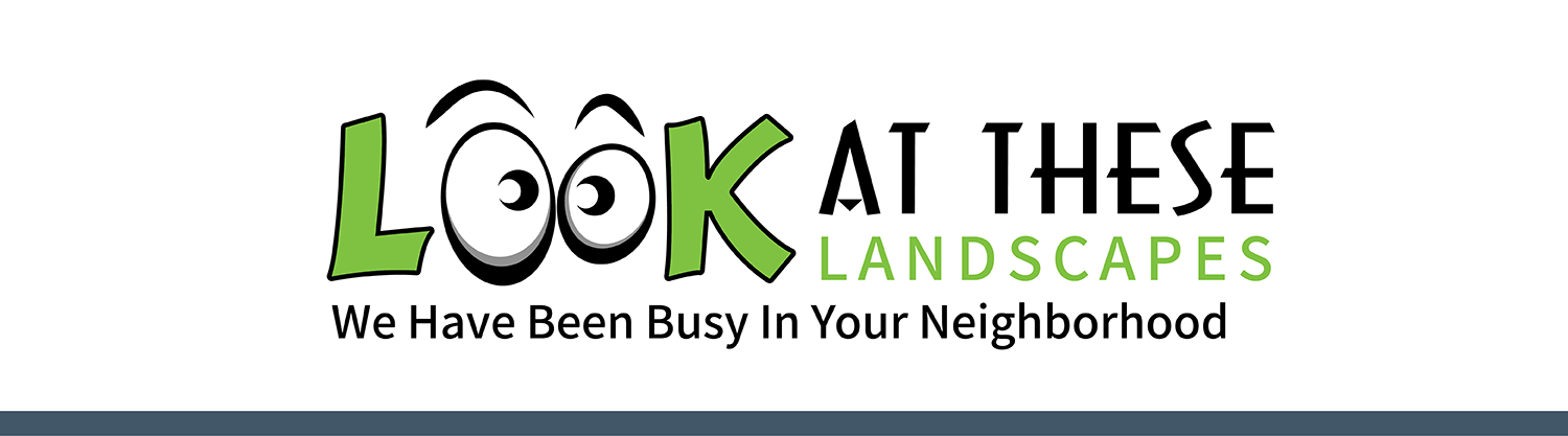 Plant It Tampa Bay – We are the premier providers residential & commercial landscaping in the Tampa Bay Area. On-line Plant Nursery, Flowers, Trees, Palms, Lawn Services, Yard Cleanup, Artificial Turf, Pavers, fencing & Landscaping.