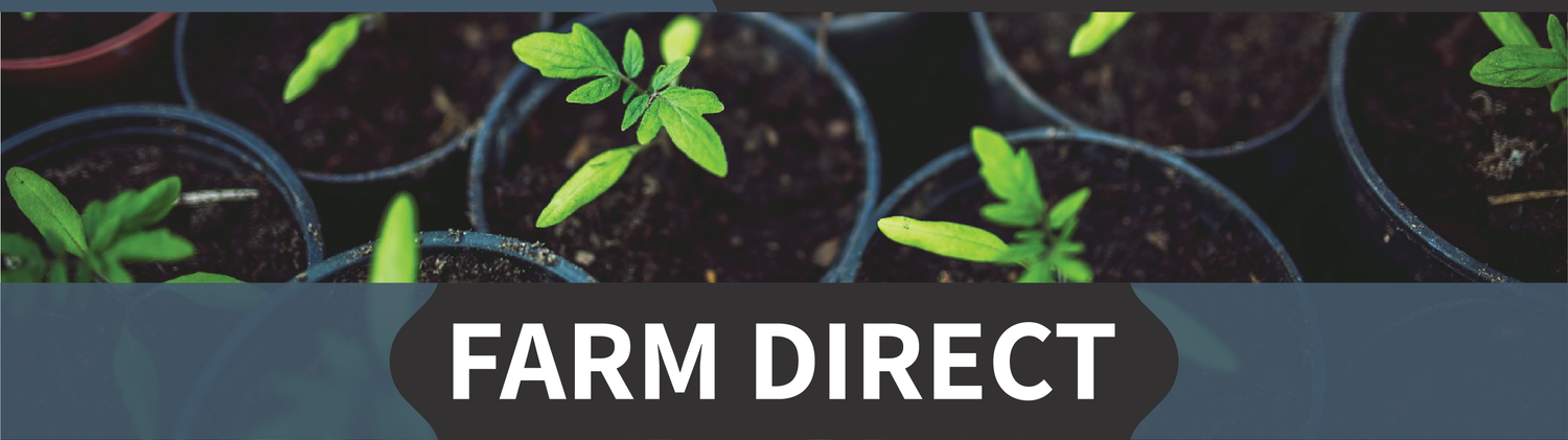 Plant It Tampa Bay – We are the premier providers residential & commercial landscaping in the Tampa Bay Area. On-line Plant Nursery, Flowers, Trees, Palms, Lawn Services, Yard Cleanup, Artificial Turf, Pavers, fencing & Landscaping.