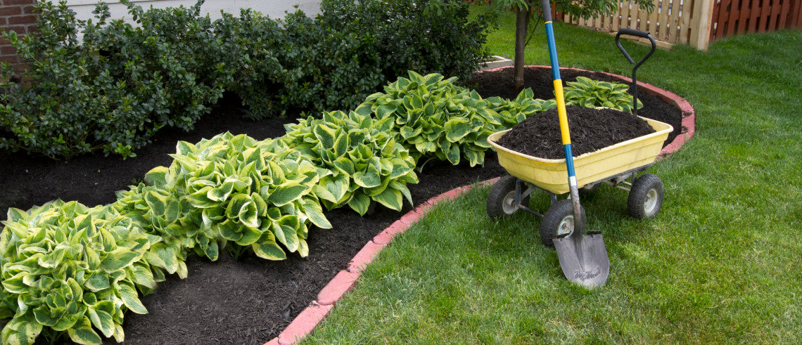 Plant It Tampa Bay - Plant Nursery, Trees, palms, Landscaping, rocks, mulch, sod, yard cleanup, landscaping design, tree trimming & sprinkler repair. Tampa, FL