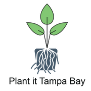 Plant It Tampa Bay – We are the premier providers residential & commercial landscaping in the plant in the Tampa Bay Area.  On-line Plants Nursery, Flowers, Trees, Palms, Lawn Services, Yard Cleanup, Artificial Turf, Pavers, fencing & Landscaping. 