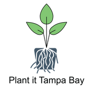 Plant It Tampa Bay – We are the premier providers residential & commercial landscaping in the plant in the Tampa Bay Area.  On-line Plants Nursery, Flowers, Trees, Palms, Lawn Services, Yard Cleanup, Artificial Turf, Pavers, fencing & Landscaping.