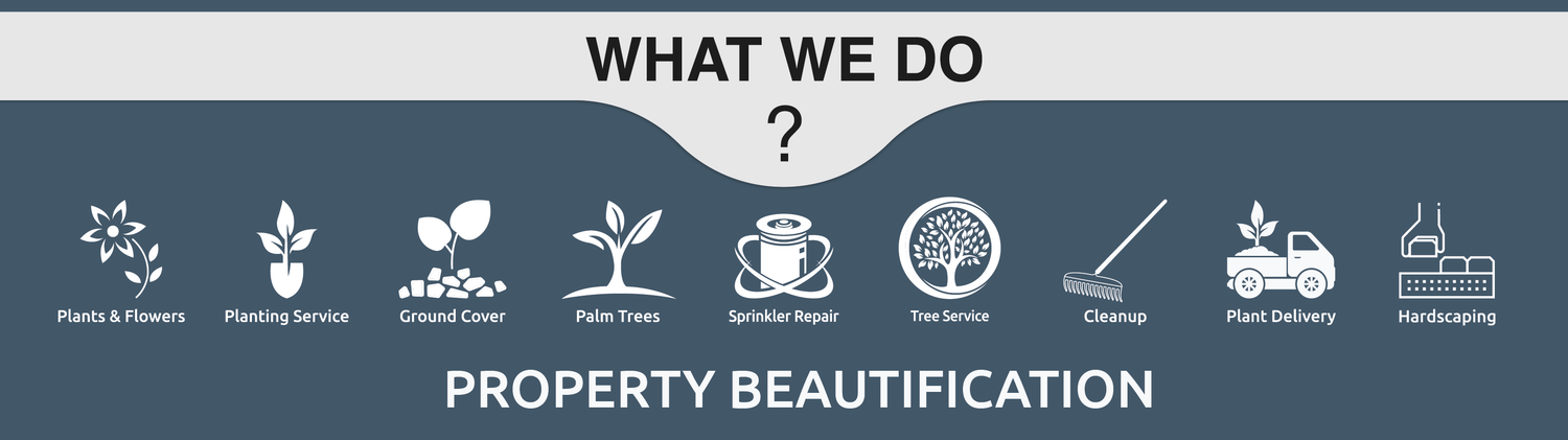 Plant It Tampa Bay – We are the premier providers residential & commercial landscaping in the Tampa Bay Area. On-line Plant Nursery, Flowers, Trees, Palms, Lawn Services, Yard Cleanup, Artificial Turf, Pavers & Landscaping.