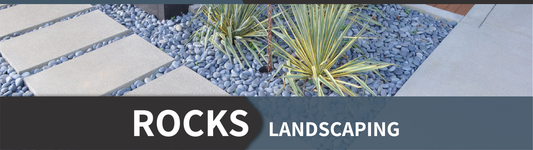 Plant It Tampa Bay - The Advantage of Landscaping Rocks
