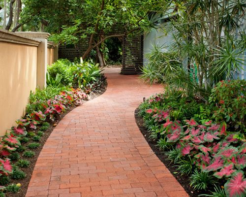 Plant It Tampa Bay - Residential / Commercial Landscaping Services, Plants, Trees Nursery and artificial turf installation