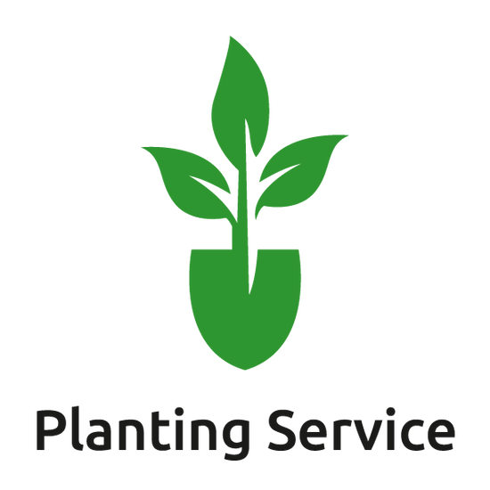 Plant It Tampa Bay – We are the premier providers residential & commercial landscaping in the plant in the Tampa Bay Area.  On-line Plants Nursery, Flowers, Trees, Palms, Lawn Services, Yard Cleanup, Artificial Turf, Pavers, fencing & Landscaping.