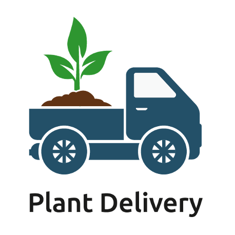 Plant It Tampa Bay – We are the premier providers residential & commercial landscaping in the plant in the Tampa Bay Area.  On-line Plants Nursery, Flowers, Trees, Palms, Lawn Services, Yard Cleanup, Artificial Turf, Pavers, fencing & Landscaping. 
