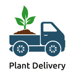 Plant It Tampa Bay – We are the premier providers residential & commercial landscaping in the plant in the Tampa Bay Area.  On-line Plants Nursery, Flowers, Trees, Palms, Lawn Services, Yard Cleanup, Artificial Turf, Pavers, fencing & Landscaping.