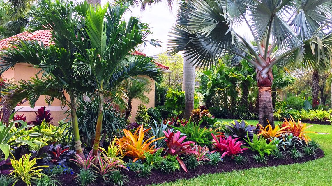 Plant It Tampa Bay – We are the premier providers property landscaping in the plant in the Tampa Bay Area.  On-line Plants Nursery, Flowers, Trees, Palms, Lawn Services, Yard Cleanup, Artificial Turf, Pavers, Fencing & Landscaping. 