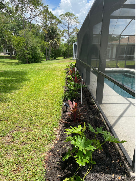 Plant It Tampa Bay – On-line Plant Nursery and Providers of residential & commercial landscaping in the Tampa Bay Area.  Flowers, Trees, Palms, Lawn Services, Yard Cleanup, Artificial Turf, Pavers, fencing & Landscaping.