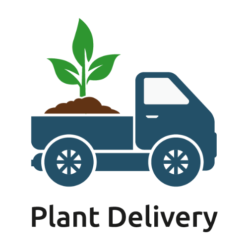 FREE PLANTING & DELIVERY WITH PURCHASE OF $1000.00 - Plant It Tampa Bay